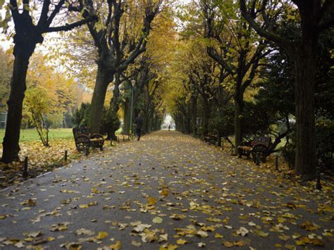 Parks in Bucharest: Get the Detail of Parks in Bucharest on TimesTravel
