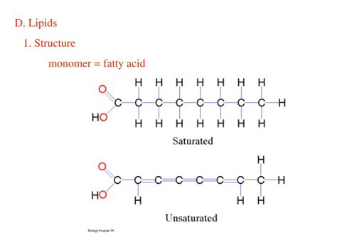 PPT - Atoms and Bonds: Understanding the Building Blocks of Matter ...