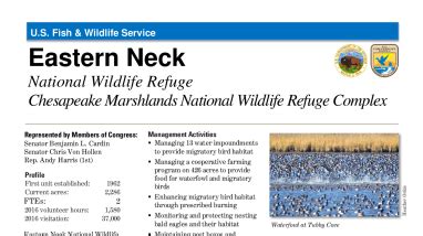 Eastern Neck Fact Sheet | FWS.gov