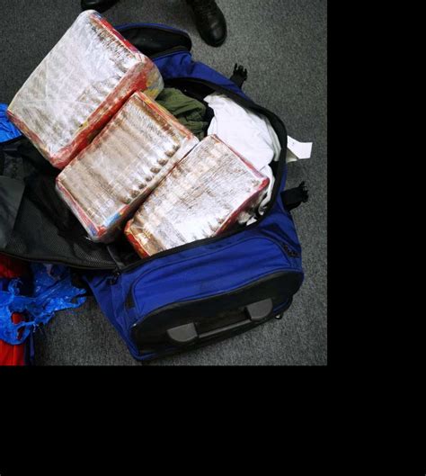 carina zaplena tompusi krijumčarenje - Informer.rs