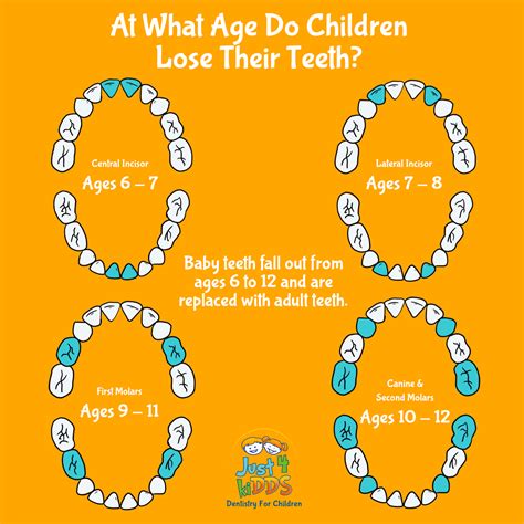 When Do Kids Lose Teeth