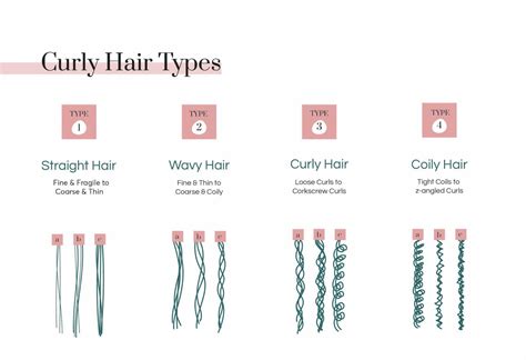ᐅ Curly Hair Types explained: A Comprehensive Guide
