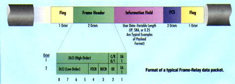 Image result for Frame Relay Format