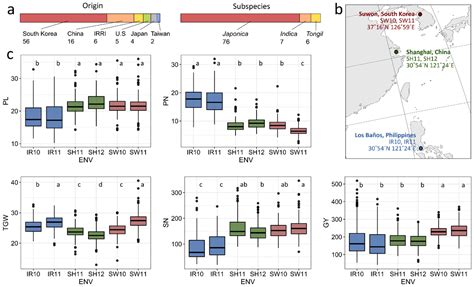 Evaluating Genotype × Environment Interactions of Yield Traits and ...
