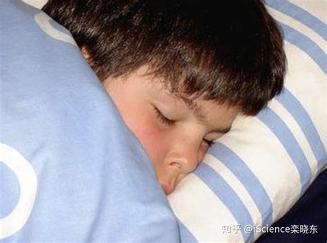 人在睡觉时，做梦真的可以被大脑控制吗？ - 哔哩哔哩