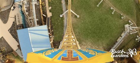 Busch Gardens Williamsburg Average Wait Times | Fasci Garden