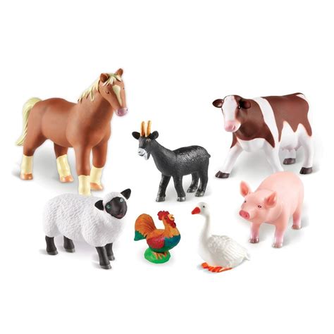 Animals From The Farm