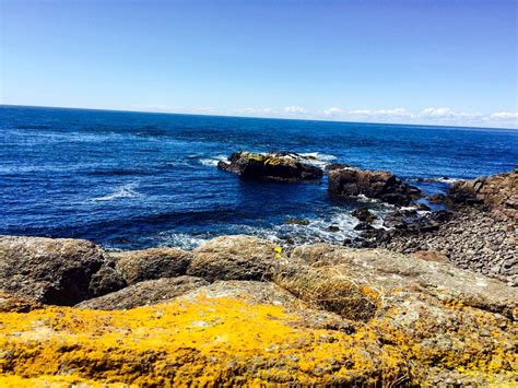 Brier Island Tourism (2024): All You Need to Know Before You Go