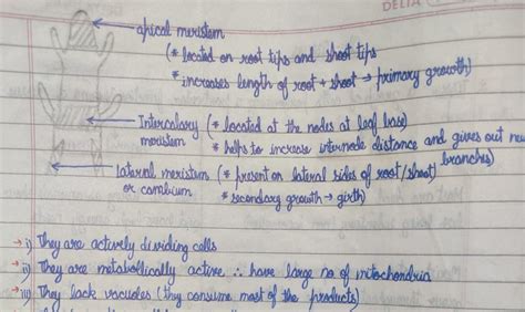 Write the characteristics of the meristematic tissue. class 7 - Brainly.in