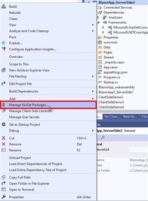 Blazer Tutorial .Net 的图像结果