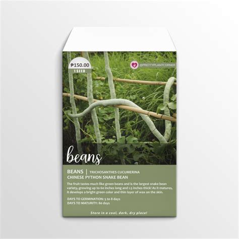 Image result for Python Snake Bean Seeds