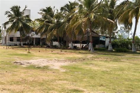 Olive Resort - Venue - Chengalpattu - Weddingwire.in