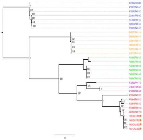 First Molecular Detection and Characterization of Fowl Aviadenovirus ...