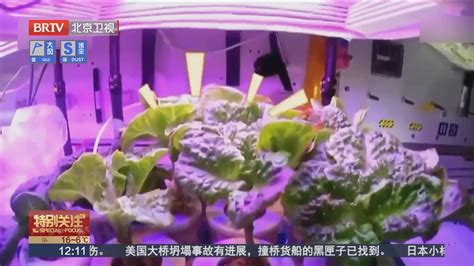 中国人在太空存粮丰富最新素材