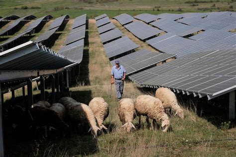 https://www.reuters.com/resizer/v2/DFO5BE4GZVM6VLY5QLDK7MS3Y4.jpg?auth=2b91097966d88ca8426c7a247b8a3aec3efbe67234c08afaed59060881a1f621&quality=80&width=1080