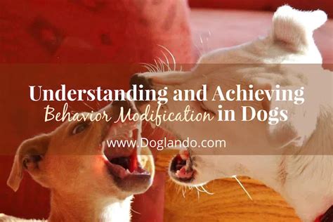 Image result for Canine Behavior Modification Chart