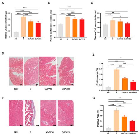 Quasipaa spinosa-Derived Parvalbumin Attenuates Exercise-Induced ...