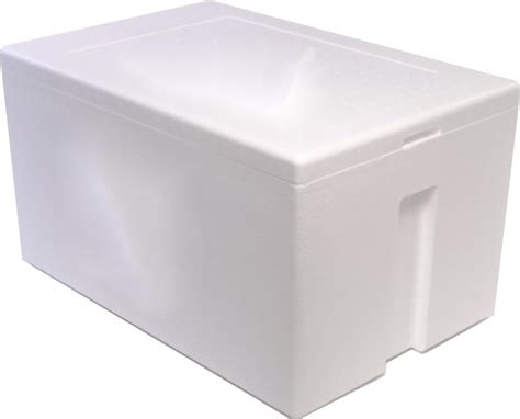 Amazon.com : Salutem Vita - Styrofoam Cooler, Ice Chest (47qt), Inside ...