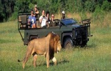 Ecstatic 10 Days 9 Nights Africa Holiday Package | Africa Trip Package ...