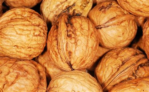 SHREE WALNUT INSHELL (AKHROT) 1KG Walnuts Price in India - Buy SHREE ...