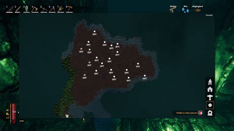 Image result for Valheim Swamp Crypt