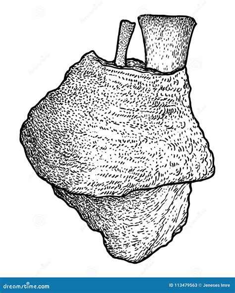 Drawings Cracking Knuckles