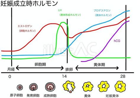 Image result for HashMap Structure