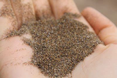 Image result for How Sand Is Formed
