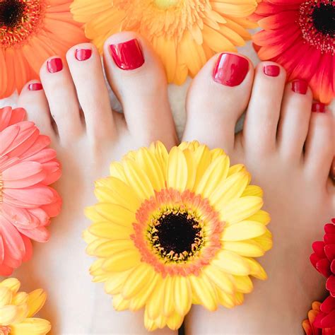 Maitys 308 Pieces 14 Sheets Toenail Polish Stickers Full India | Ubuy