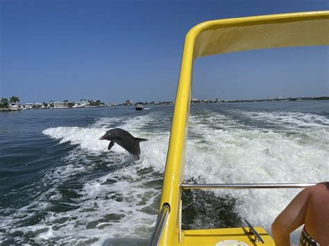 DOLPHIN RACER (2026) All You Need to Know BEFORE You Go (with Photos ...