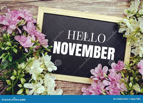 Hello November Typography Text Written on Wooden Blackboard with Flower ...