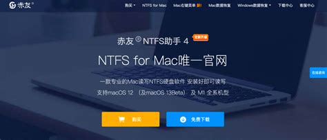 OpenNTF File 的图像结果