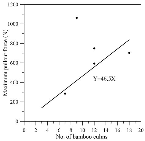 Exploring the Root–Soil Anchoring Dynamics of Bambusa pachinensis ...