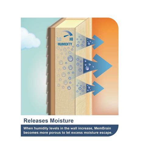 Buy MemBrain 8 ft. W X 100 ft. L Unfaced Air Barrier and Smart Vapor ...