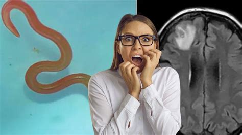 Image result for Memory Worm