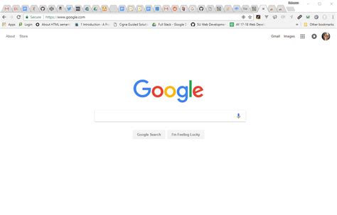 HTML Validator 的图像结果