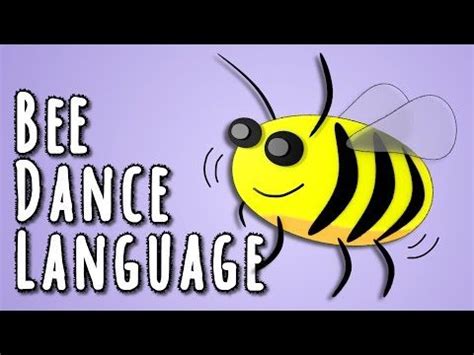 Image result for Bee Dance Language