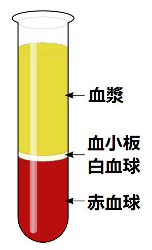 File:血液の遠心分離(イラスト).png - Wikimedia Commons