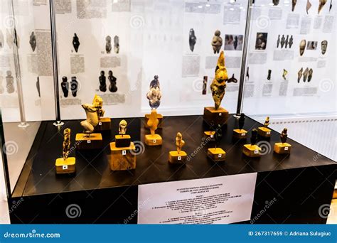 Human Evolution Technology 的图像结果