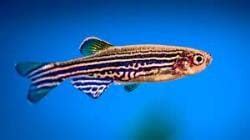 UPSC Daily Current Affairs: 16 November 2024 - Current Affairs and ...