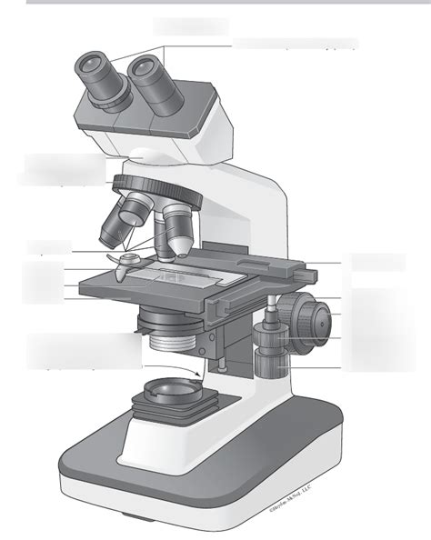 Image result for Compound Microscope for Exam