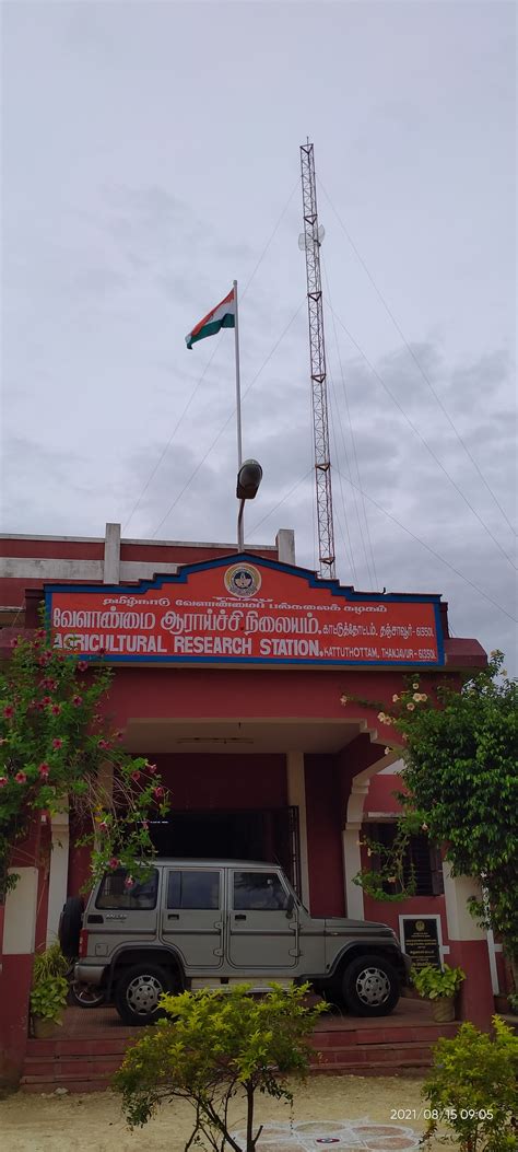 Kattu Thottam Agriculture Office in Gnanam Nagar, Thanjavur - Best ...