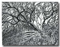 Image result for Scratchboard Examples