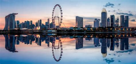 Marine Biology Degree in Singapore: A Guide for Indian Students