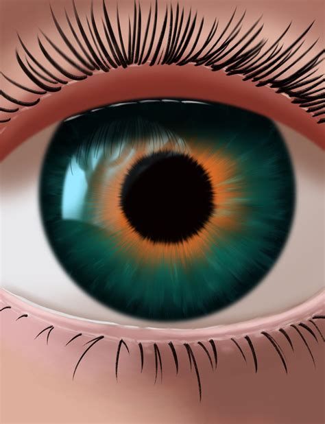 Flo Tutorial 的图像结果