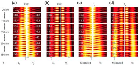 A Review of Three-Dimensional Scanning Near-Field Optical Microscopy ...