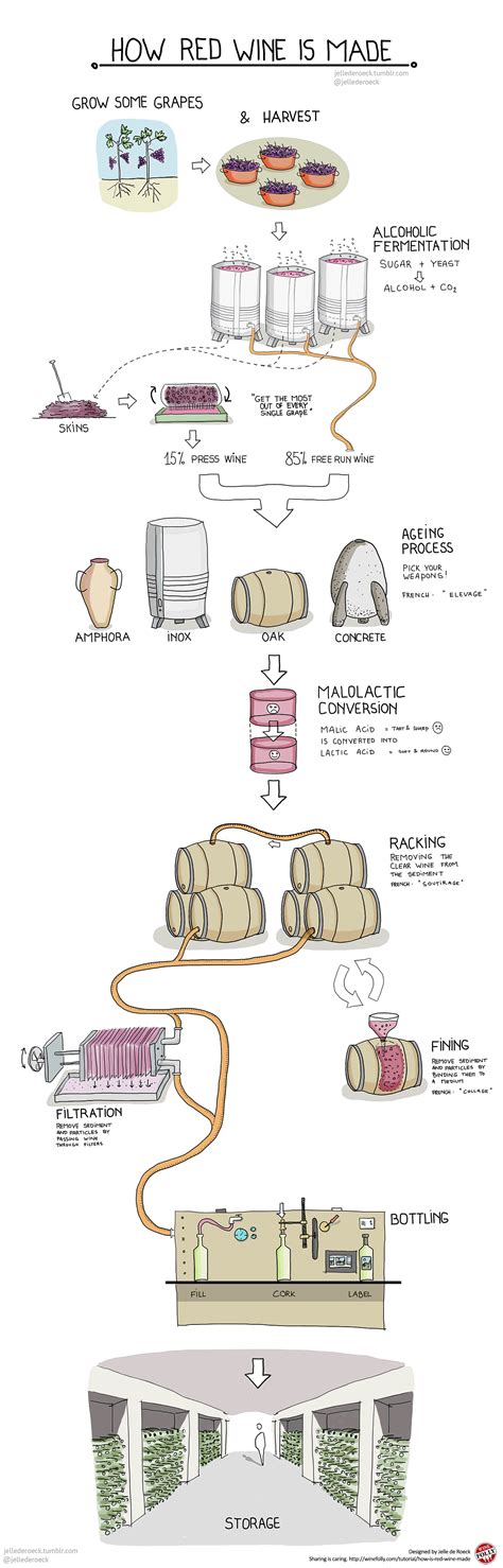 How Red Wine is Made Step by Step | Wine Folly