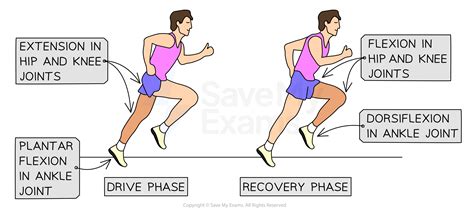 Image result for Sporting Examples of Movement