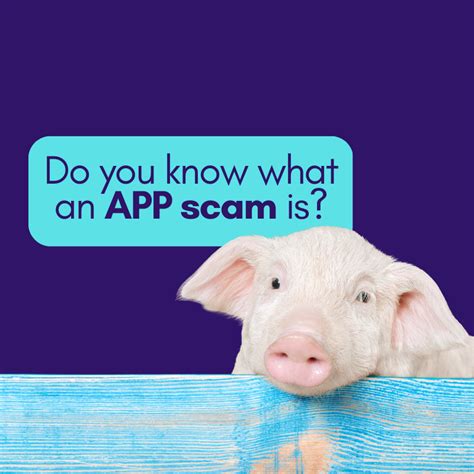 Image result for Anti-Scam App