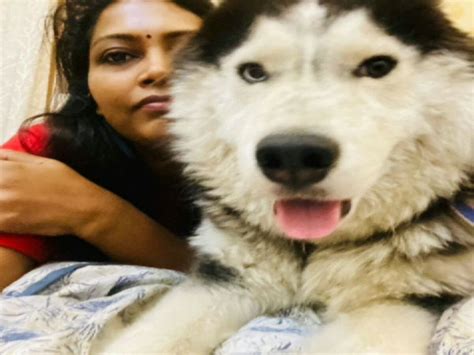 Meerut Police Commissioner Selva Kumari J foreign Siberian Husky breed ...